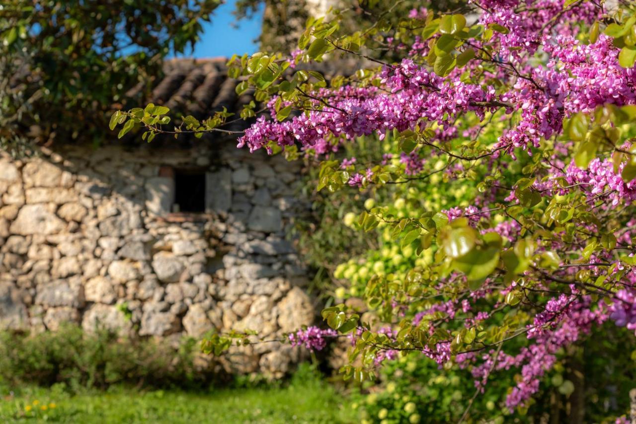 La Maison De Yuka Plieux Buitenkant foto